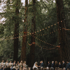 Ślub w środku lasu