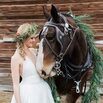 Sesja ślubna w towarzystwie konia wpisuje się w sielski, naturalny klimat